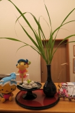 今日は、中秋の名月