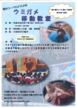 ウミガメ移動教室